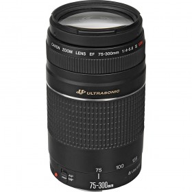 Canon Lens EF 75-300mm f/4-5.6 III USM